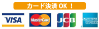 VISA MasterCard JCB AMERICANEXPRESS クレジットカード決済OK
